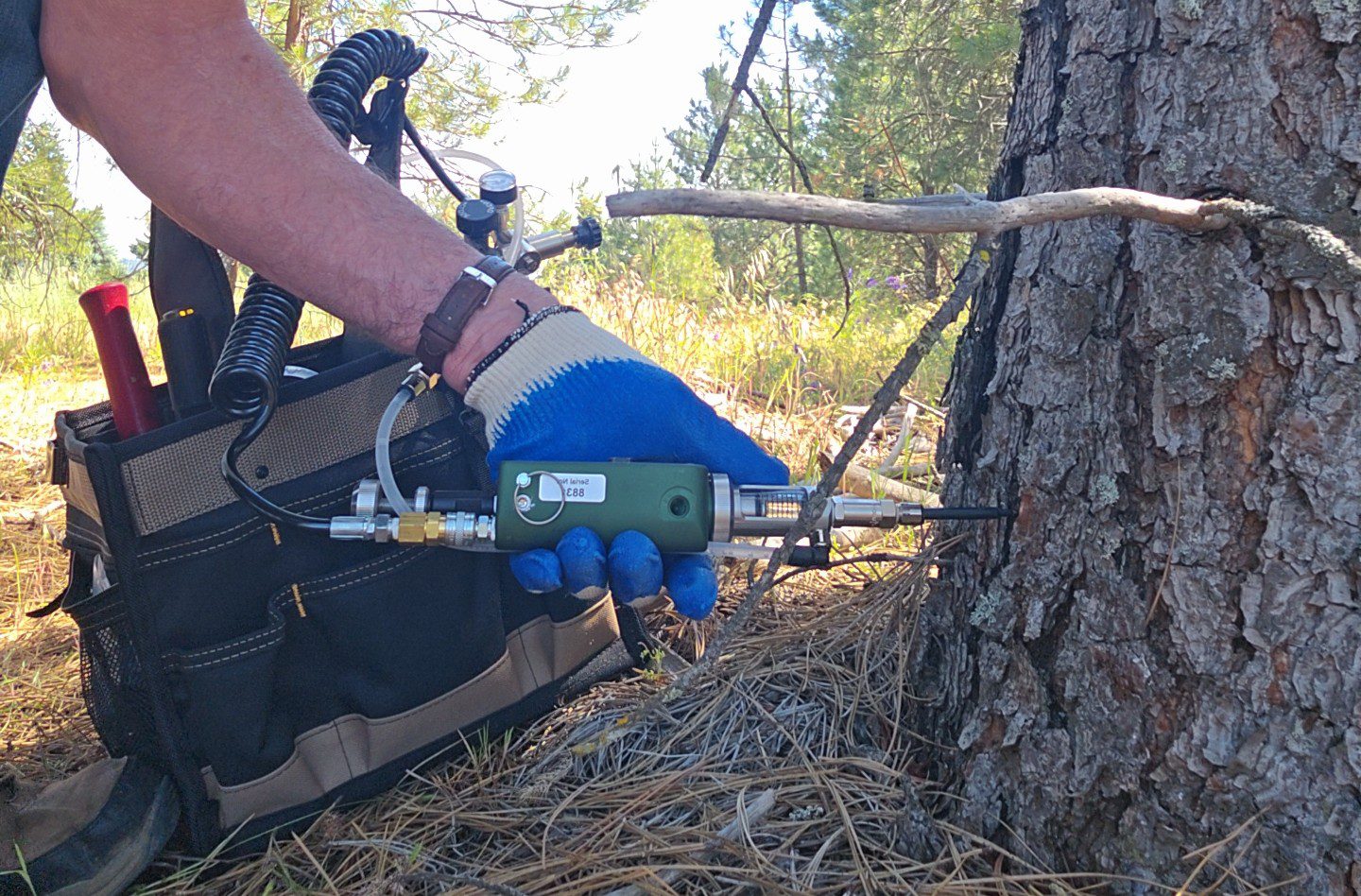 6a329c119e758_Me injecting a tree-crop