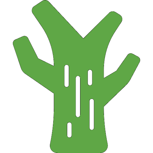 Bark Borers