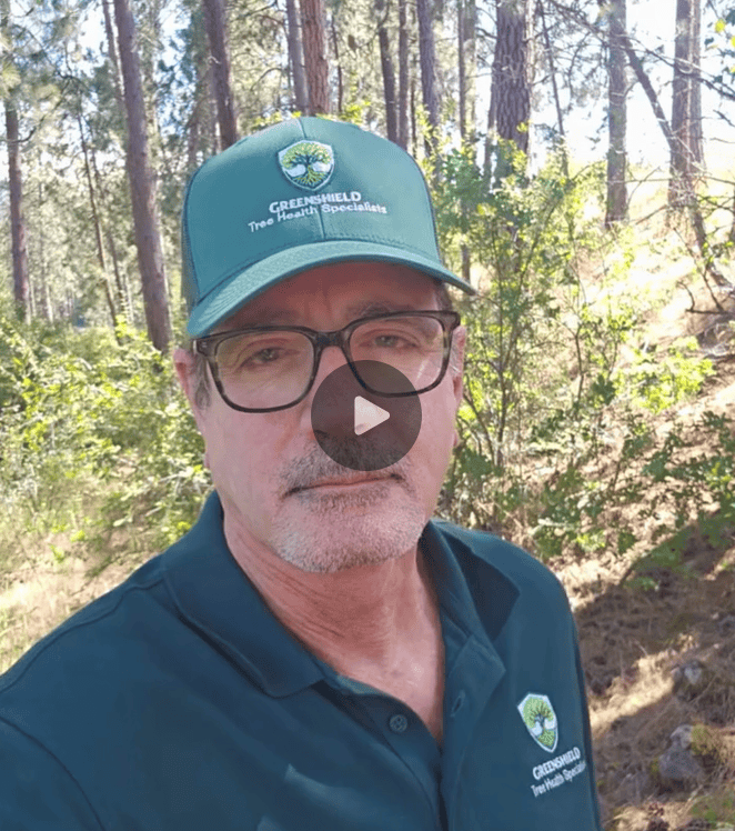 video-thumb